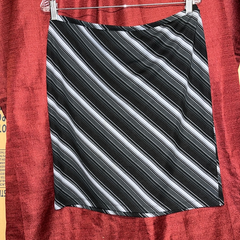 Express skirt